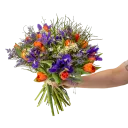 Bouquet of spring flowers